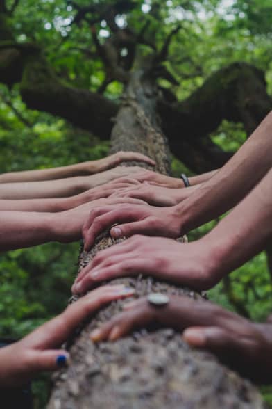 Coaching und Supervision für Teams